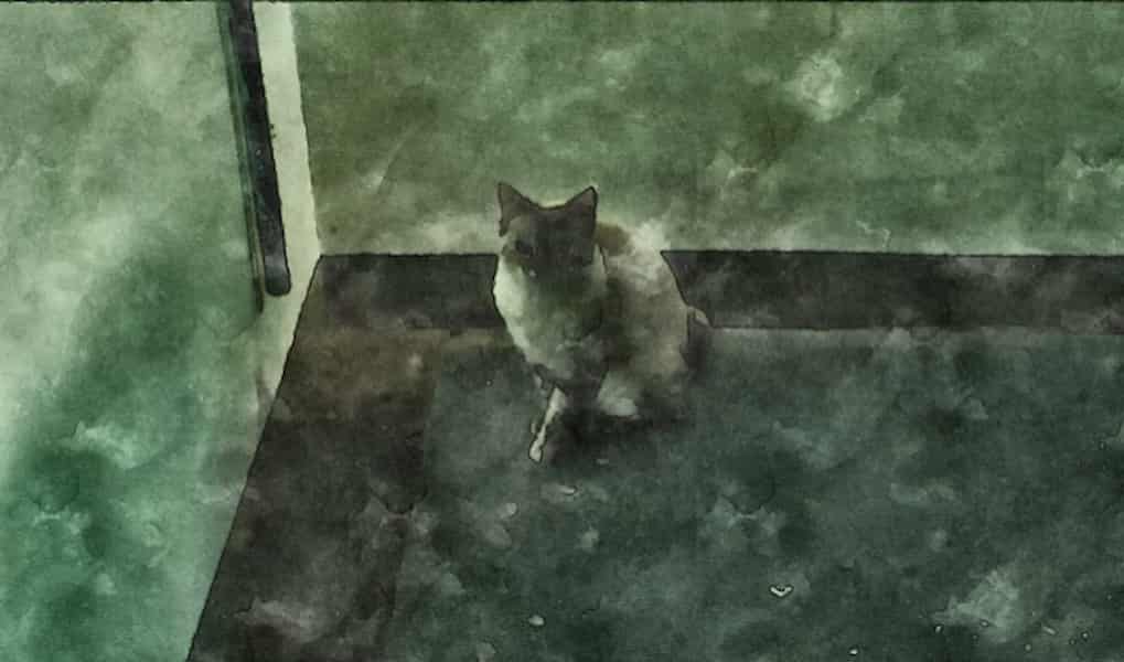 韓国映画『バーニング 劇場版』で、ベンの部屋から逃げ出したヘミの愛猫ボイラの画像